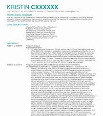 Although the profession seems atemporal, the template's look speaks of modernity. Program Analyst Resume Example Accountant Resumes Livecareer