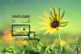 خلفية الاسبوع رقم 49 مداد الجليد simple life red roses wallpaper wallpaper