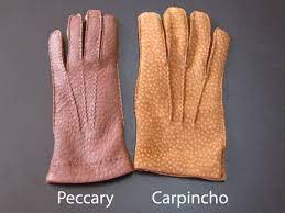 Carpincho skin is used as glove leather and has a pore structure similar to the peccary, a south american wild pig. Peccary Leather Vs Carpincho Leather How To Distinguish Them Peccary Leather