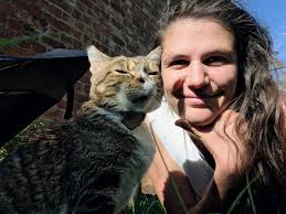 UPDATE: LOOKING for a 1-bed or studio flat, budget of £700. Finding a  houseshare/lodging is proving too tricky, and I need a place to live