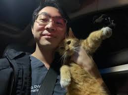 Rescued Cat from Fires in LA Area