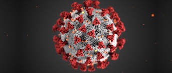 Florida covid action get data. Federal Bureau Of Prisons Covid 19 Action Plan