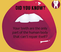 2 Minutes Twice A Day Easy Brushyourteeth Smile Didyouknow Teeth Tooth Dental Dentist Lips Lipstick Fact Dental Dental Cosmetics Dental Crowns