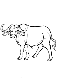 For boys and girls, kids and adults, teenagers and toddlers, preschoolers and older kids at school. Coloring Pages Buffalo Coloring Sheet For Kids