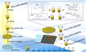 Image result for Modified Apt Test