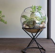 Berikut tips untuk membuat terrarium udara terbuka. Cara Membuat Terrarium Sebagai Hiasan Rumah Blog Ruparupa