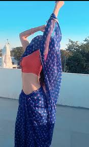 Sheeva Rana Navel In Blue Red Dot Saree From Vagitha Hot Scene In |  sexiezpix Web Porn