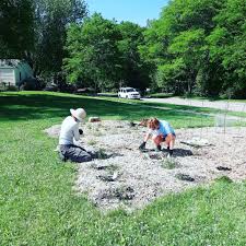 Greenhouses, plants & nurseries, green houses, plants, nurseries, flowers, compost, fertilizers, gardens, botanicals. Lansing Food Forest Wisconsin Food Forests