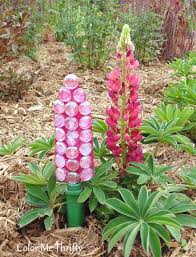 I searched all over town for one i could buy. How To Make A Diy Repurposed Garden Trowel Flower Garden Trowel Fairy Herb Garden Wall Planter