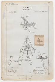 Image result for Anisotes bracteatus