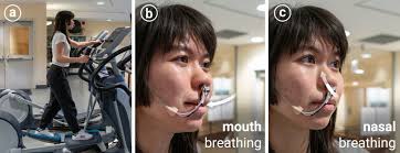 Augmented Breathing via Thermal Feedback in the Nose
