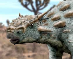 In 1977, teresa maryańska named and described the type species tarchia kielanae. A Dinosaur A Day Tarchia Teresae