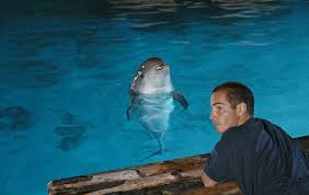 Jean marc barr je n ai jamais revu le grand bleu. Thirty Years Ago Le Grand Bleu The Big Blue Shook The Croisette Festival De Cannes