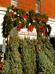 Maybe you would like to learn more about one of these? Where To Buy Xmas Trees From 24 98 To 150