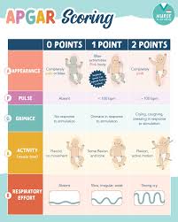 Image result for APGAR Score
