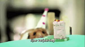 Fijne Verjaardag Gif Fijne Verjaardag Discover Share Gifs