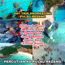Snorkel trip által készített kép erről: Percutian Ke Pulau Redang Day Trip Snorkeling Pakej Sehari Menyelam Di Pulau Redang