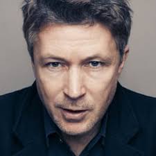 Aidan gillen is an irish actor. Aidan Gillen The Movie Database Tmdb