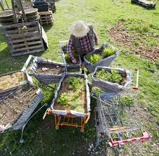 Frisches gemüse aus dem eigenen garten ist ein besonderes geschmackserlebnis. Urban Gardening Ein Gemusegarten Fur Alle Mitten In Der Stadt Welt