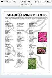 Pin On Gardening