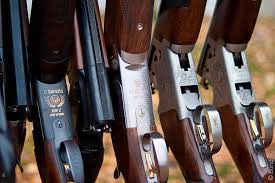 Https Xn M1aiak Xn P1ai Articles Ruzhe Dlya Stendovoj Strelby