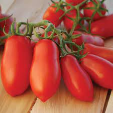 It is typically pointed but there are some knives with ends that are cut off straight, rounded or at a slant. Tomato Heirloom Ten Fingers Of Naples Friends School Plant Sale
