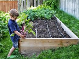 Vegetable beds should be 12 to 18 inches deep. Extra Deep Raised Beds This Will Be Great For Our Sloped Yard Sloped Garden Sloped Backyard Backyard Garden Design