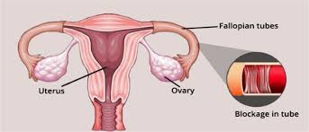 Pin On Baby Making