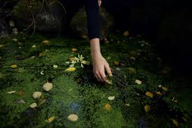 Trust in the Universe