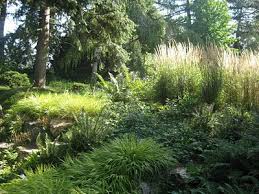 The Karl Foerster Garden Germany Garten Garten Ideen Draussen