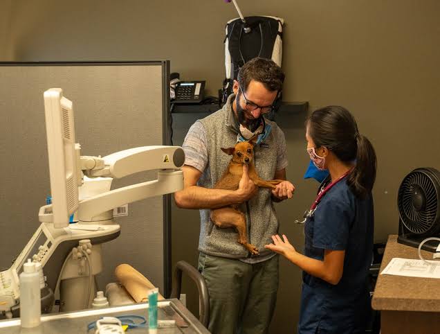 Boundary Bay Veterinary Specialty Hospital expands diagnostic imaging  service - Boundary Bay Veterinary Specialty Hospital