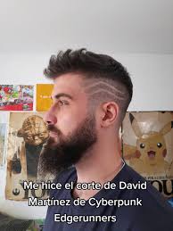 Corte Pelo David Martinez