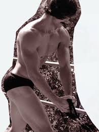 Boy Culture : Covering Hot Men, Gay Issues, Celebrities, Movies, Music &  More: SPEEDOS