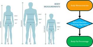 Set a goal, be patient and stay consistent with your efforts. Estimation Of Body Fat Percentage Using Hybrid Machine Learning Algorithms Sciencedirect