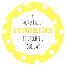 There are 9039 sunshine basket gift for sale on etsy, and they cost $37.02 on average. Brighten Someone S Day Bucket Full Of Sunshine Gift Idea Sunshine Gift Basket Of Sunshine Box Of Sunshine