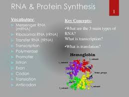 By enabling player identifier, you'll know the real person behind the nickname in your game. Do Now Why Is It Important To Learn About Dna And How Can Dna Be Used To Help People Nua Notebook Check Today Ppt Download