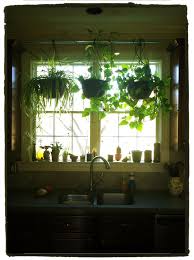 Hang Plants In Your Kitchen Window Without Putting Any Holes In Drywall 1 Place Wood Blocks 2x4s On Top O Kitchen Window Decor Kitchen Plants Window Plants