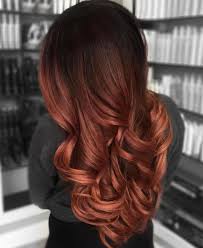 Whether you're blonde, redhead, or brunette, these are the new hair colors you need to know about now. Dark Hair Colors For Winter 5 Fashionisers C