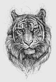Use light, smooth strokes to begin. Bengal Cat Drawings Fine Art America