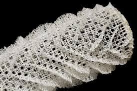 Venus S Flower Basket Sponge Skeleton Photograph By Dirk Wiersma Photo Library Patterns In Nature Flower Basket