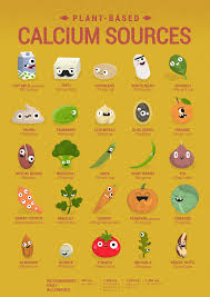 vegan calcium poster english cute characters show you