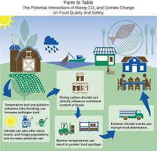 climate impacts on human health climate change impacts