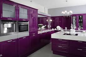 stylish purple kitchen cabinets  opnodes