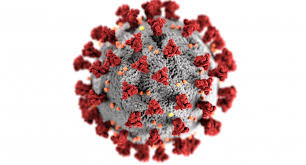 Today's visualization outlines some of history's most deadly pandemics, from the antonine plague to the a timeline of historical pandemics. Covid 19 Governments Must Promote And Protect Access To And Free Flow Of Information During Pandemic Say International Media Freedom Experts Osce