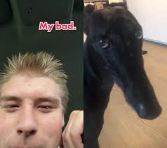 Playful Duet with Adorable Dog