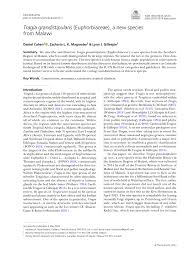 Image result for Tragia kirkiana