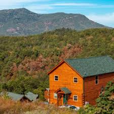 Maybe you would like to learn more about one of these? Unbiased Review Of Black Bear Ridge Resort In Pigeon Forge