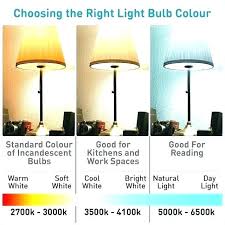 White Vs Soft White Light Google Search White Light Bulbs Light Bulb