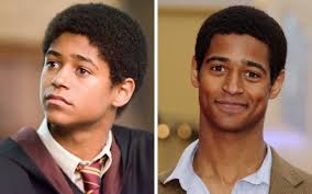 Veja como estão atualmente alguns personagens épicos de Harry Potter