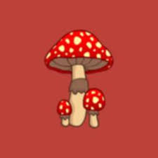 Check spelling or type a new query. Mushroom And Mushroom Identifier Apk
